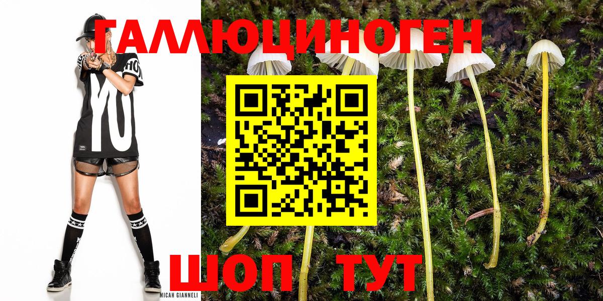 Кашира  цены наркотик  Вход с VPN  Псилоцибиновые грибы ЛСД 