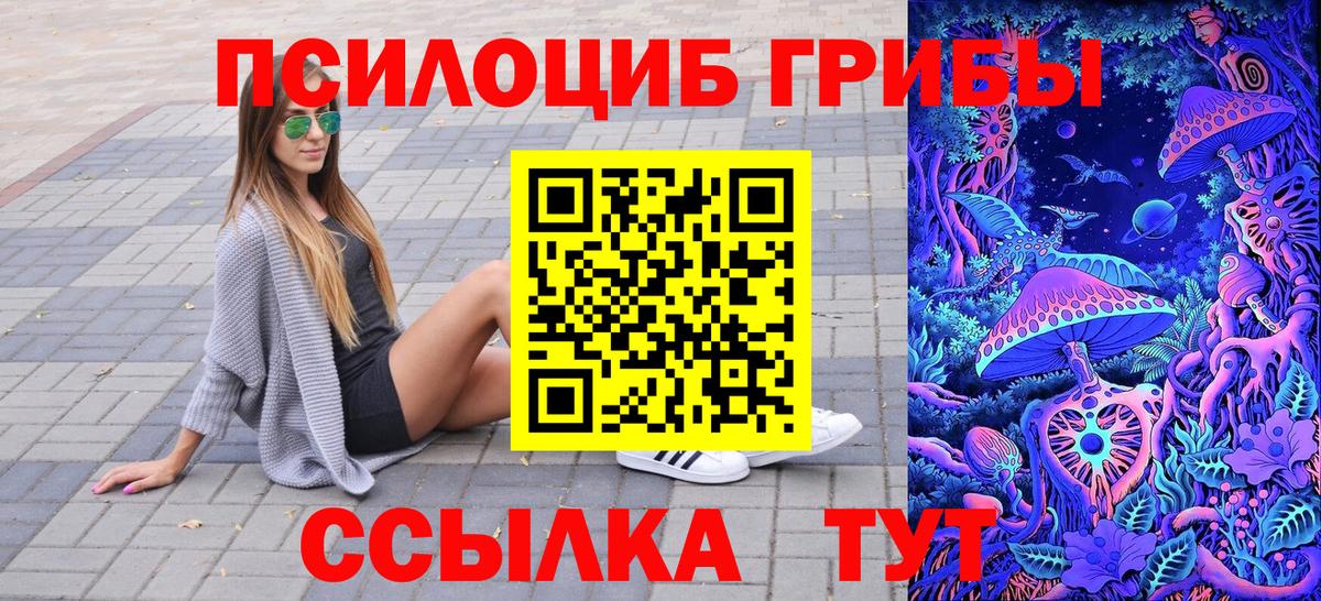 Галлюциногенные грибы Psilocybine cubensis Кашира